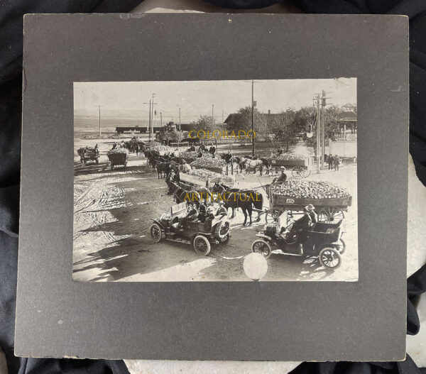 STERLING, LOGAN COUNTY, COLORADO Photograph: HAULING SUGAR BEETS TO RAILROAD [most likely, Burlington Railroad], Circa 1910
