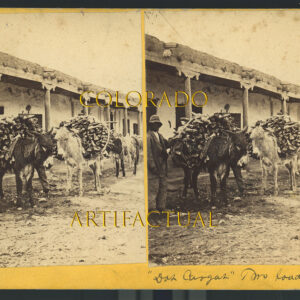 SANTA FE PLAZA, NEW MEXICO TERRITORY, "Dos Cargas," Two Loads Burros in Santa Fe Plaza carrying bundles of wood, W. Henry Brown, Photographer, Stereoview image #43