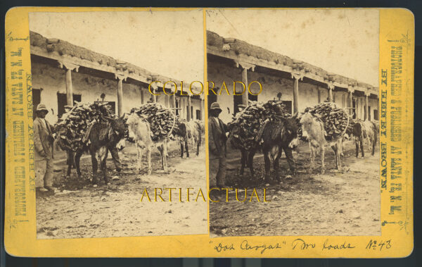 SANTA FE PLAZA, NEW MEXICO TERRITORY, "Dos Cargas," Two Loads Burros in Santa Fe Plaza carrying bundles of wood, W. Henry Brown, Photographer, Stereoview image #43