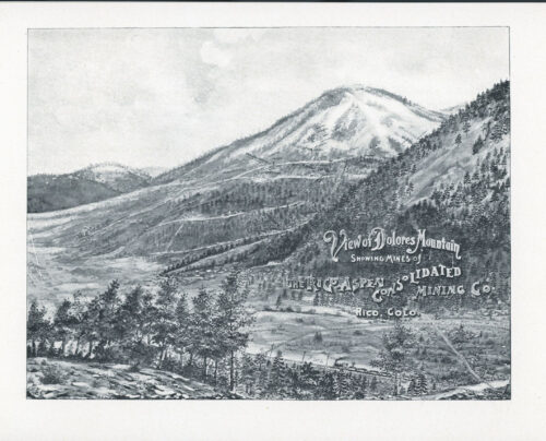 RICO-ASPEN CONSOLIDATED MINING COMPANY Colorado mining stock certificate & prospectus David H. Moffat, 1895