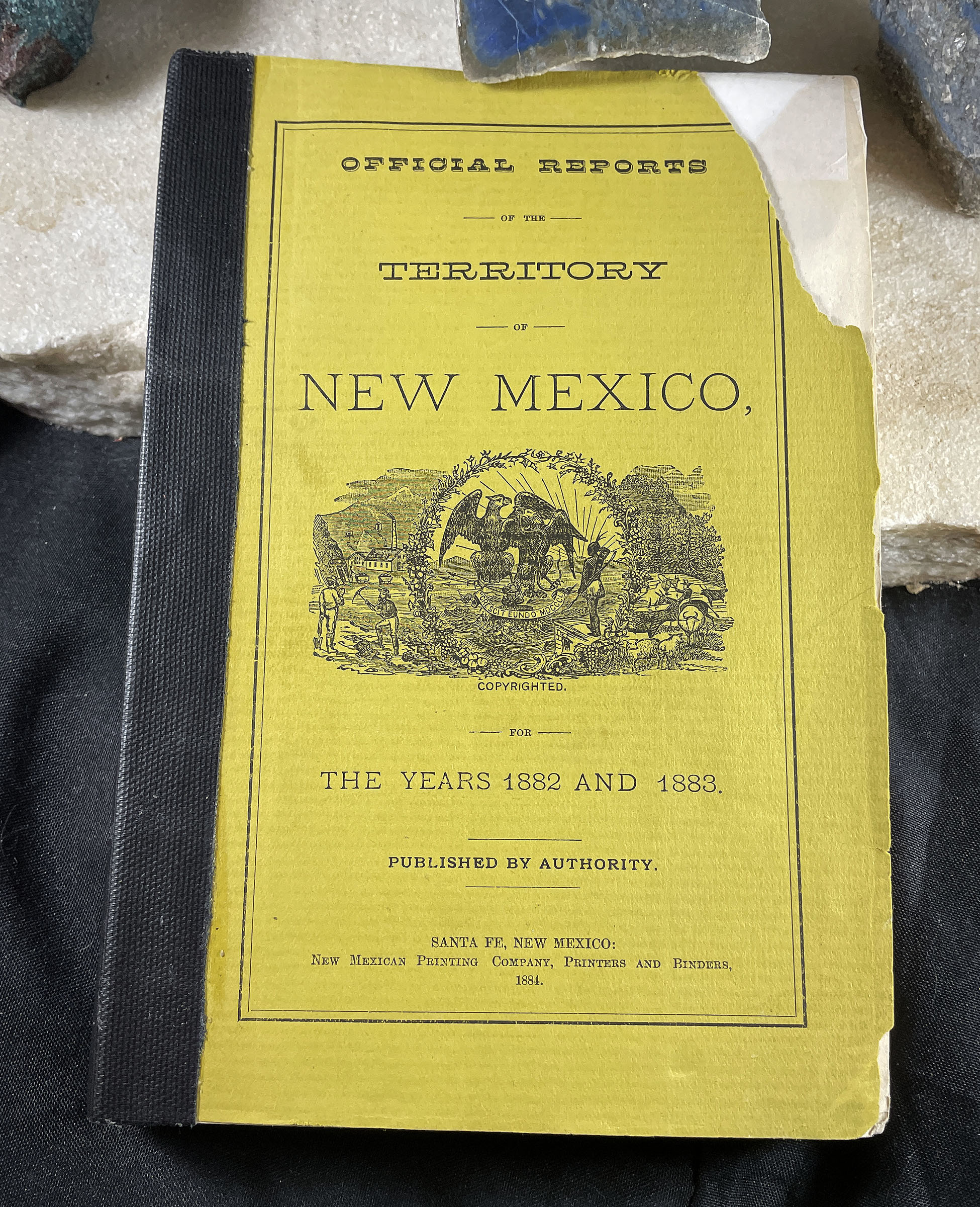 NEW MEXICO TERRITORY REPORTS SANTA FE birds eye view map 1884
