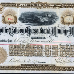 Mollie Gibson Consolidated Mining and Milling Company stock certificate Aspen Colorado 1893