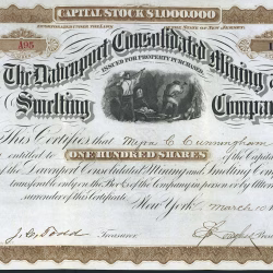 DAVENPORT CONSOLIDATED MINING AND SMELTING COMPANY stock certificate Mineral Point San Juan County Colorado 1881