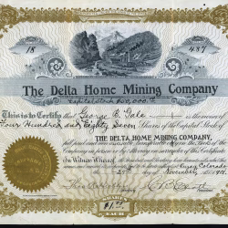 DELTA HOME MINING COMPANY stock certificate Ouray Colorado 1901