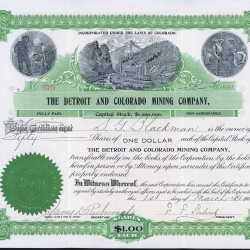 DETROIT AND COLORADO MINING COMPANY stock certificate Silverton Colorado 1904