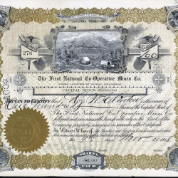 FIRST NATIONAL CO-OPERATIVE MINES COMPANY stock certificate Ouray Colorado 1908