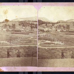 Beale lumberyard & sawmill Alma Colorado stereoview TC Miller 1884