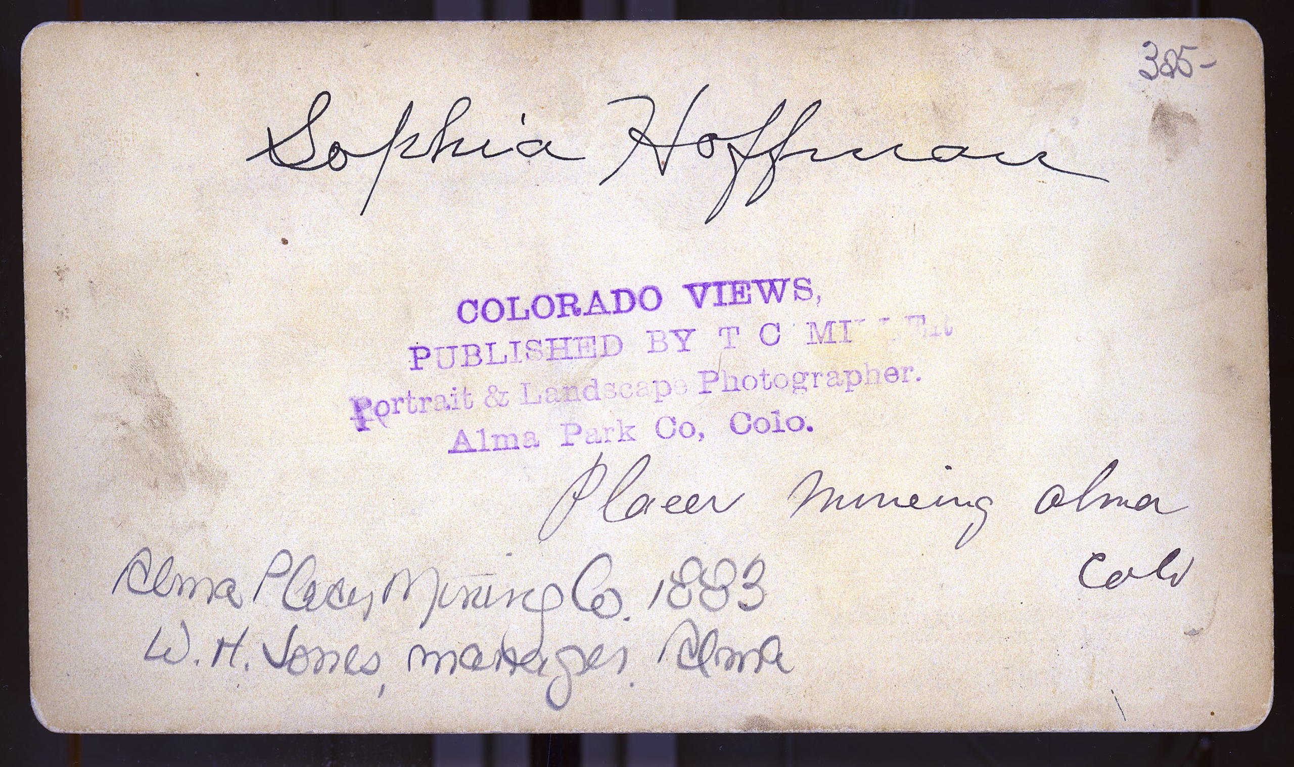 The Alma Placer Mining Company Alma Park County Colorado T.C. Miller stereoview 1883