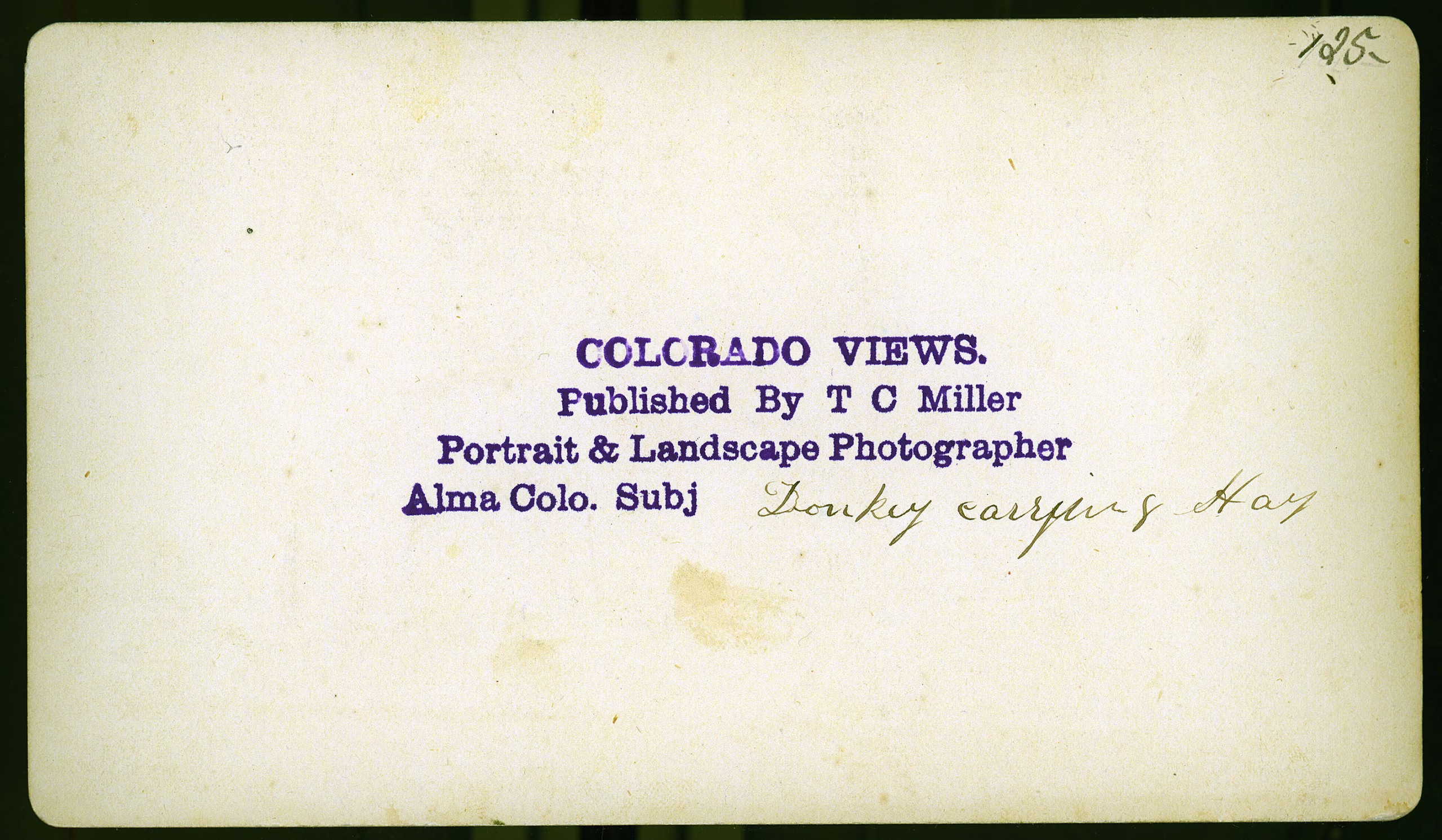 Donkey with hay Alma Park County Colorado T.C. Miller stereoview 1880 back