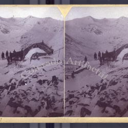First National Mine Montgomery Park County Colorado T.C. Miller stereoview 1880