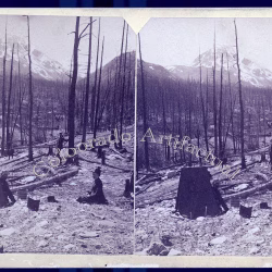 Mosquito Pass Road Park County Colorado TC Miller stereoview 1880